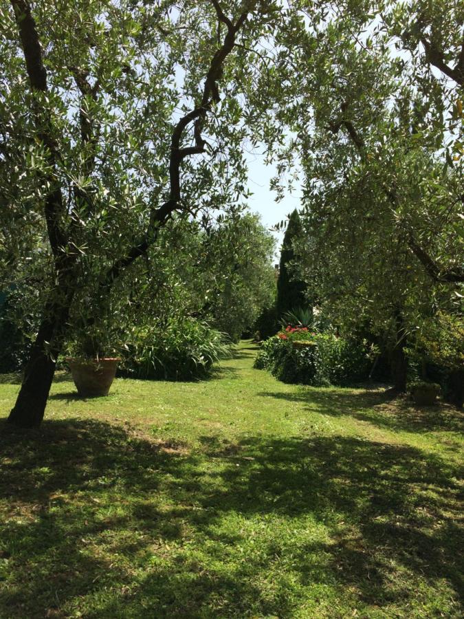 La Casa Dei Nonni Villa Larciano Dış mekan fotoğraf